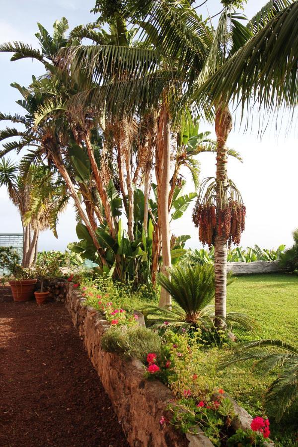 Apartamento El Patio
